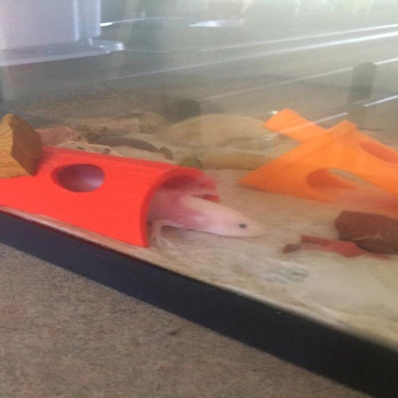 Fish Aquarium Hiding Tunnel