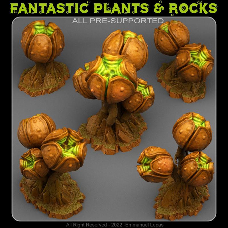 INSANITY SPORE PODS