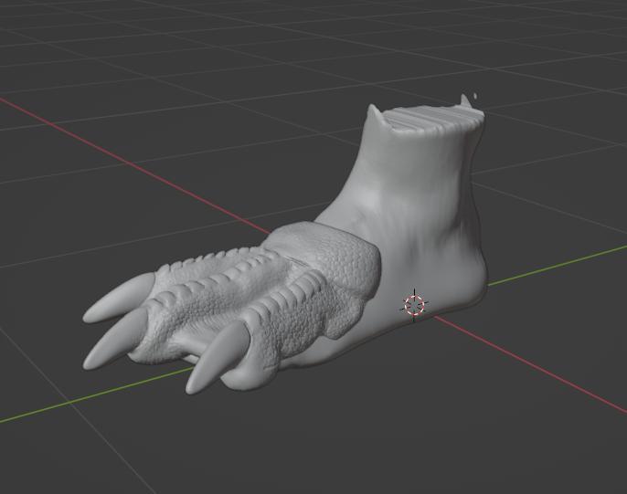 Penguin Feet shoe covers