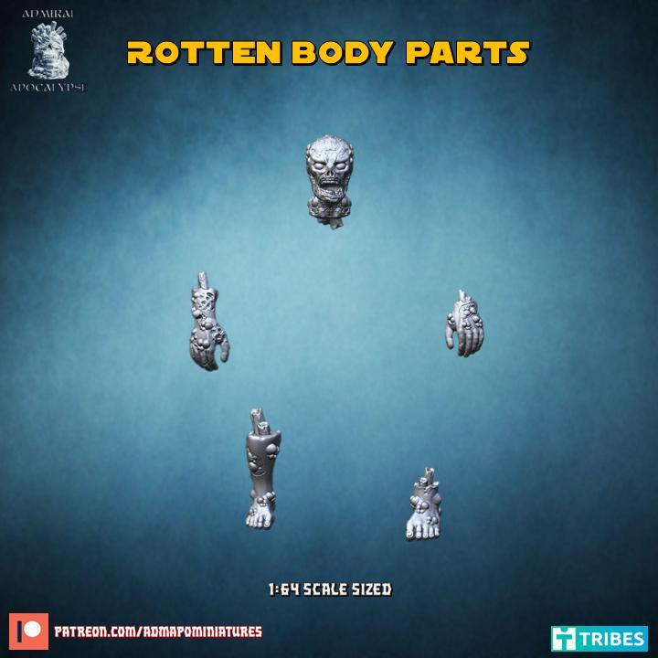 Rotten Body Parts (pre-supported)