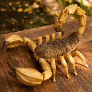 REALISTIC ARTICULATED SCORPION