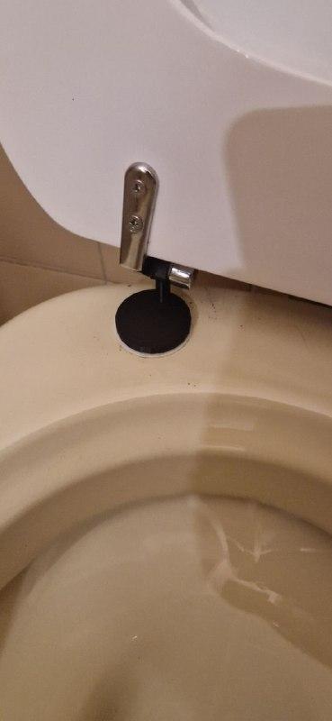 Toilet seat hinge part replacement