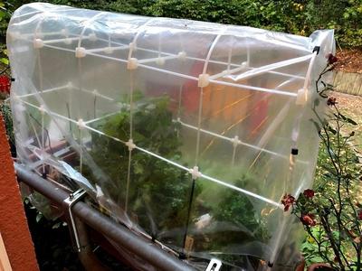 Greenhouse for planter / pot