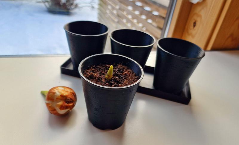 Simple and sturdy planter and tray