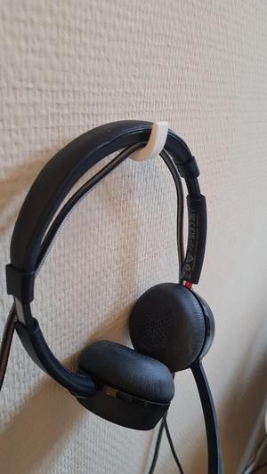 Wall Hook with invisible screw mount