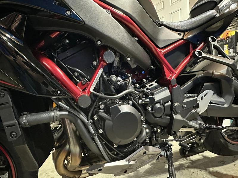 Kawasaki ZH2 frame plugs