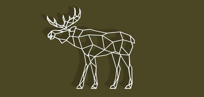 Geometric Moose