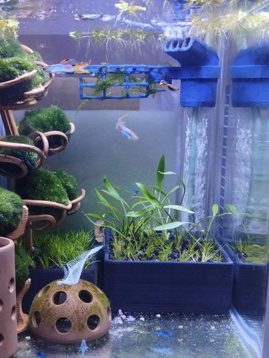 Undergravel filter for aquarium / půdní filtr do akvária