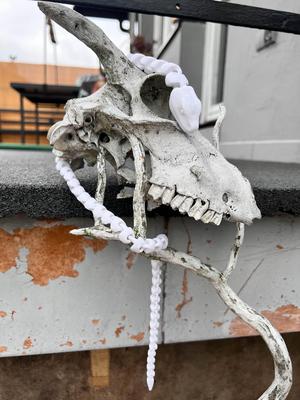 Flexi Articulated Snake