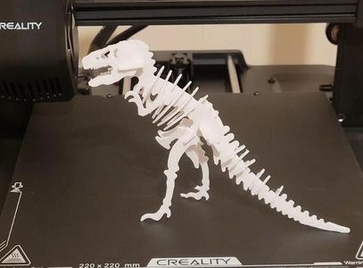 T-rex kit card