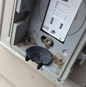 Outdoor Receptacle Wasp Guard