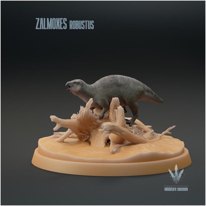 Zalmoxes robustus : Floating
