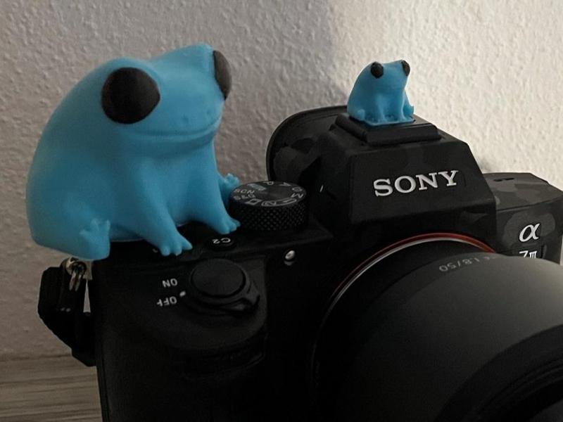 sony horse shoe cover