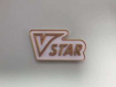 PTCG Pokémon Card Marker Vstar Plate
