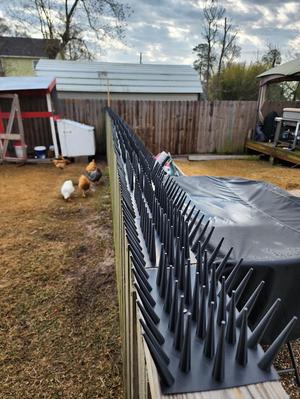 Bird Spikes for Wide Fence