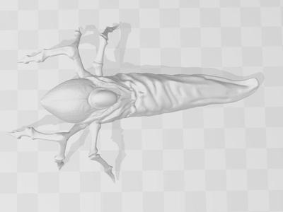 ALIEN TICK FROM ALIEN EARTH