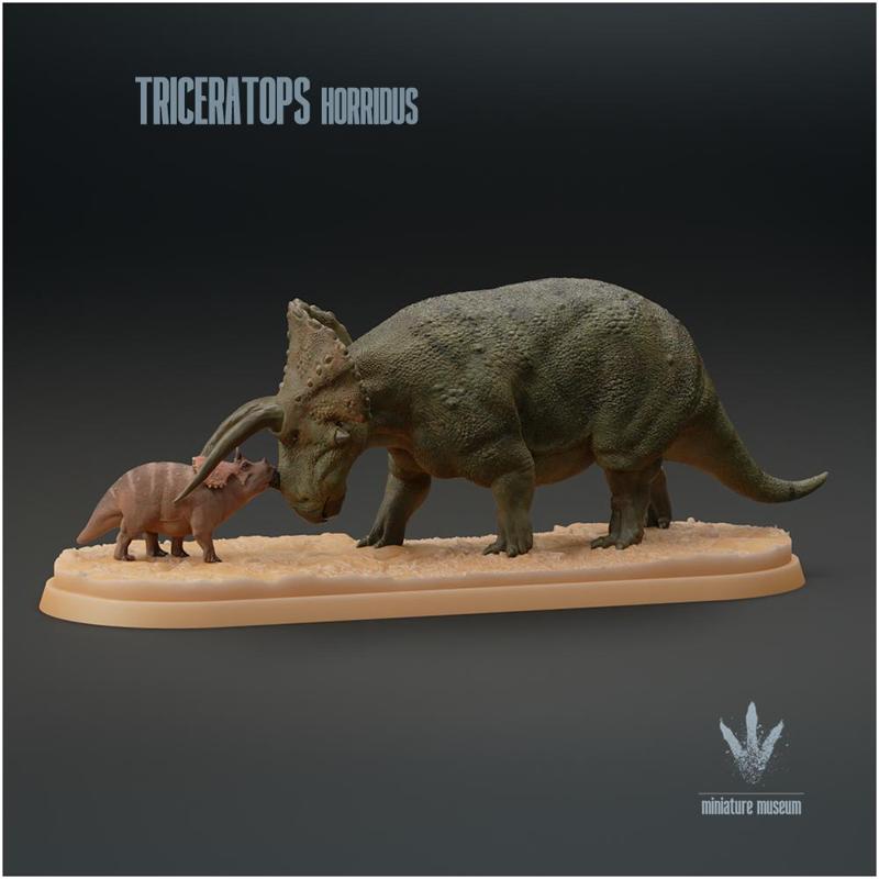 Triceratops horridus : Three-horned Face