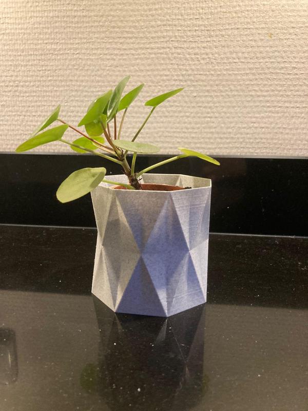 geometric planter