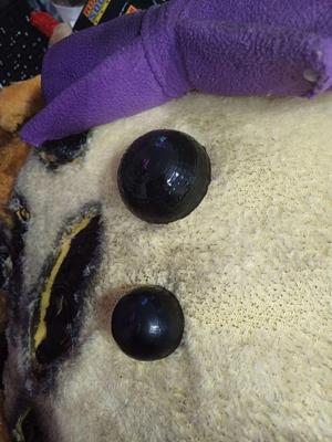 "The Yellow Rabbit" Chest buttons