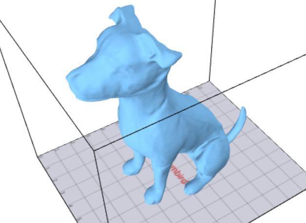 My favorite Jack Russell terrier