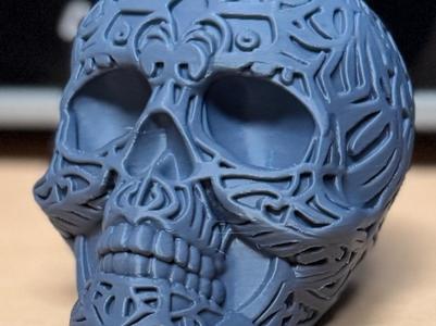 Ornate Skeleton Skull