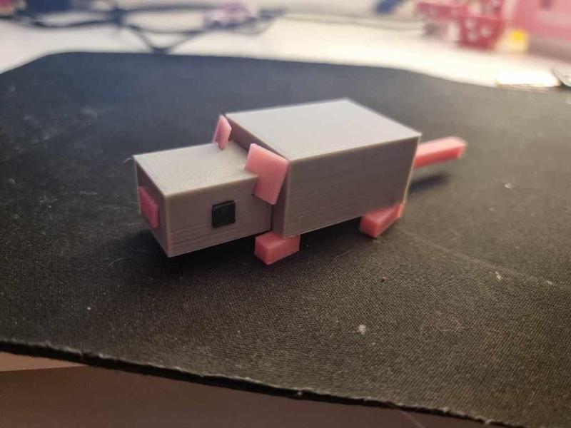 Minecraft Rat