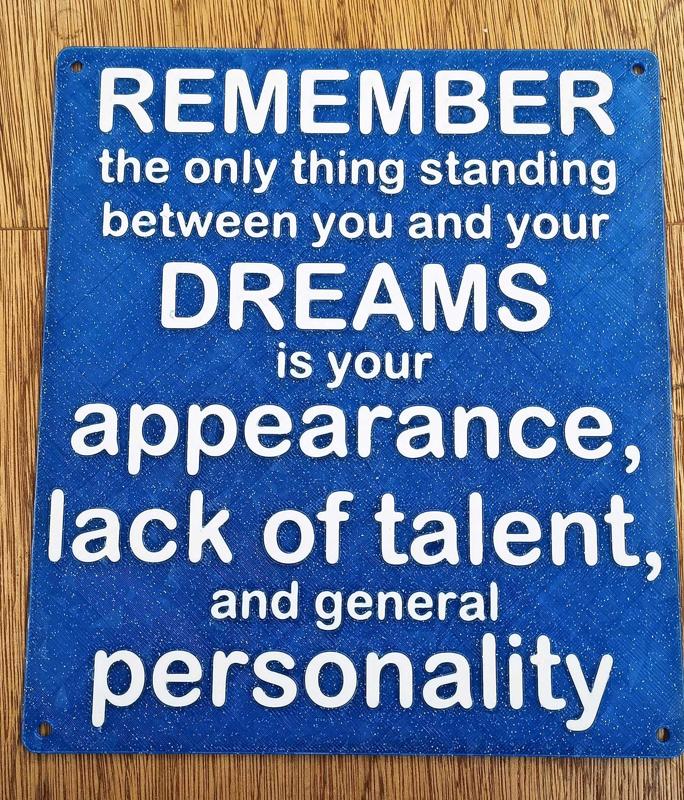 Funny Sign - "Remember the only thing standing between you and your dreams is ..." dual color design