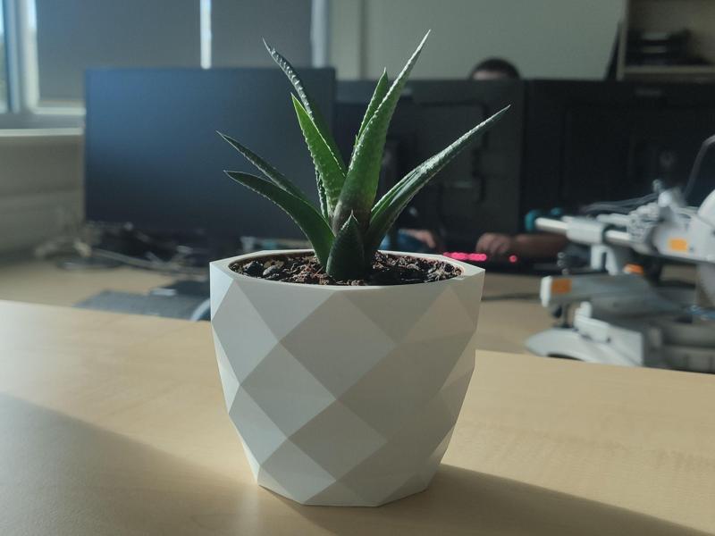 Succulent Pot