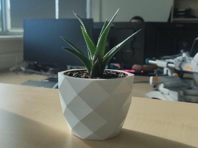 Succulent Pot