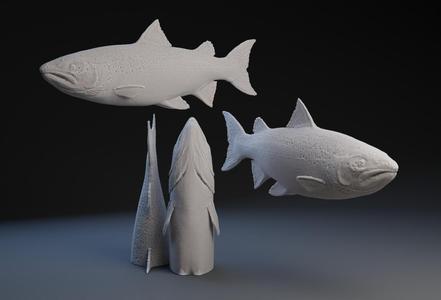Salmon : Fish