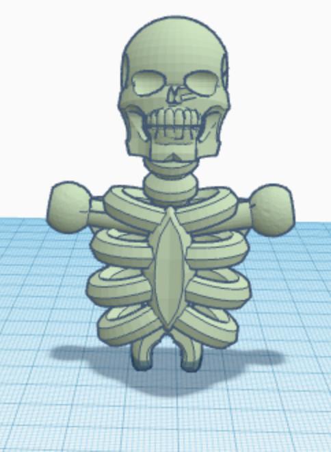 skull head and body