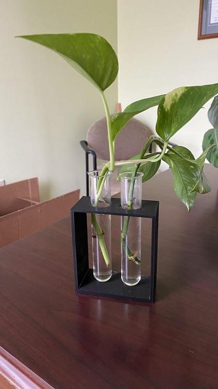 Plant Propagation Station 2