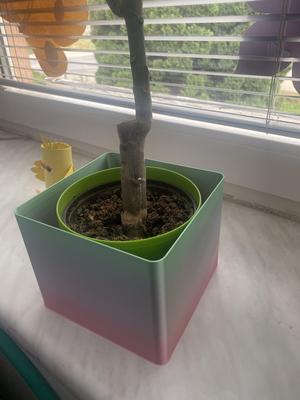 Scalable square desk trash bin / flower pot