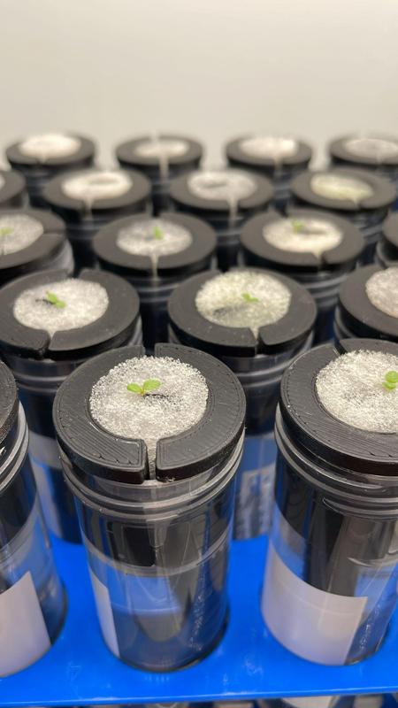 Falcoponics Lab Tube Hydroponics System