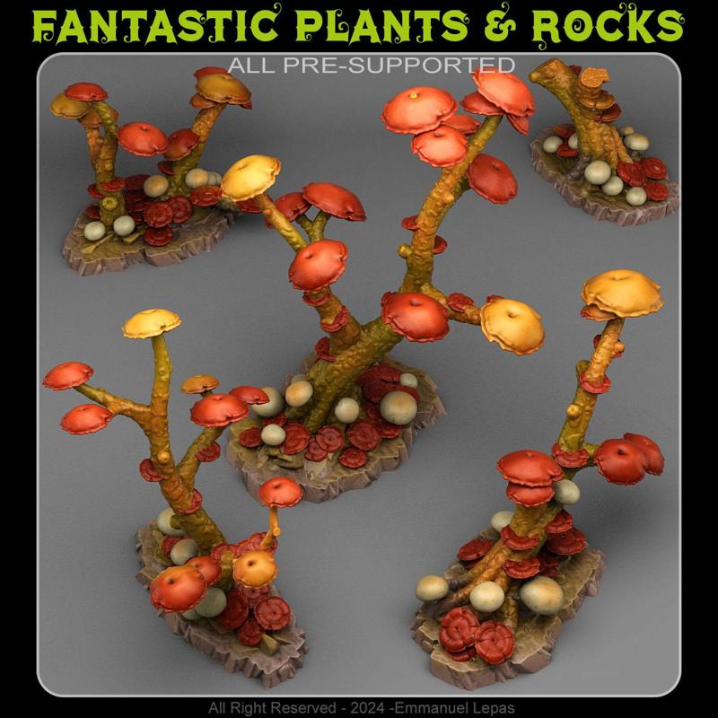 MUSHROOMS TREES