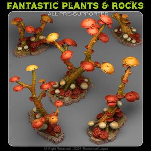 MUSHROOMS TREES