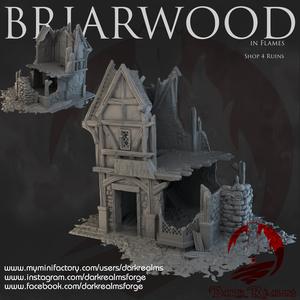 Dark Realms - Briarwood - Shop 4 Ruins