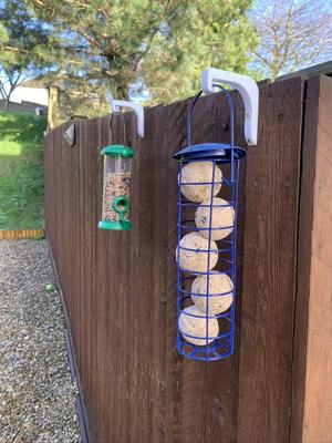 Bird Feeder Hook