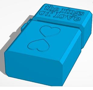 zippo lighter ring case