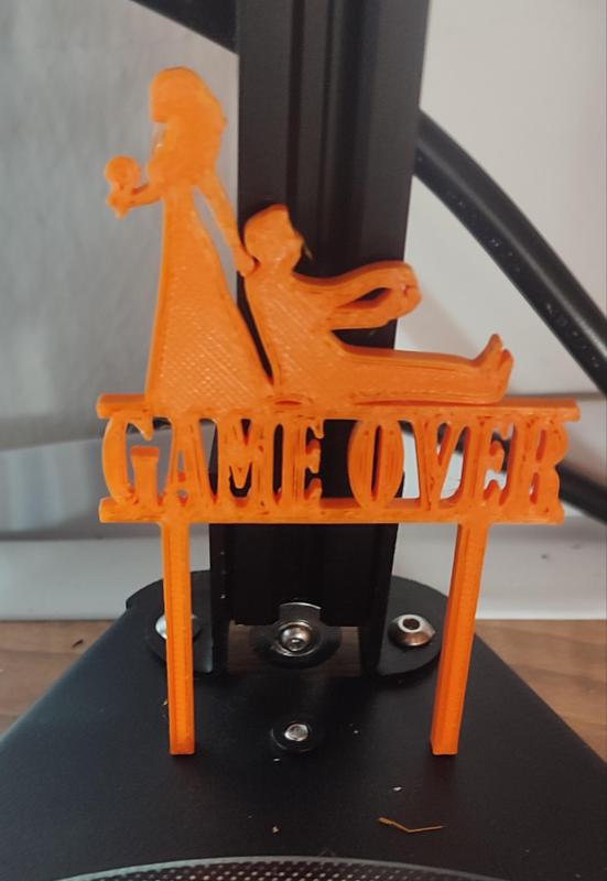 married/ verheiratet / game over  Schild Sign