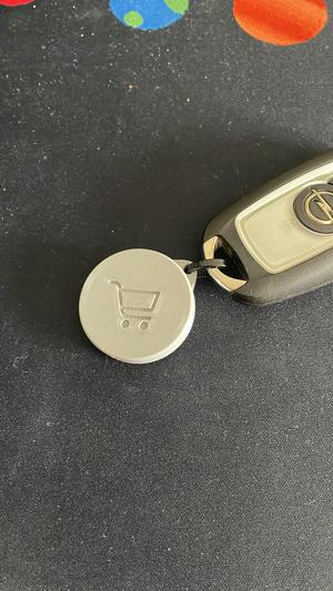 Shopping trolley coin and case key chain