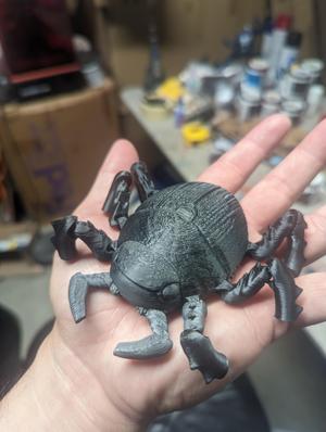 Flexi Beetle