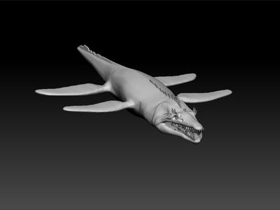 Monster sea  - wild animal sea
