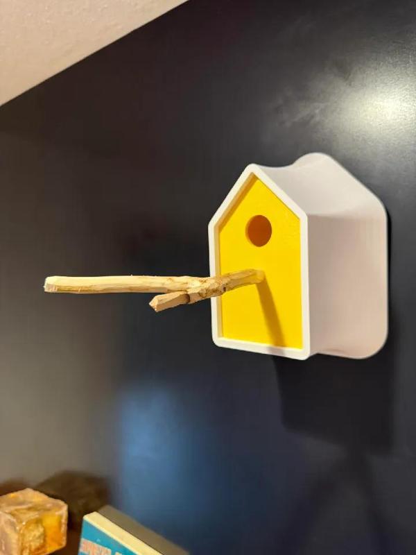 Bird House, Birdhouse   