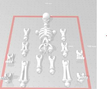 Skeleton Articulate