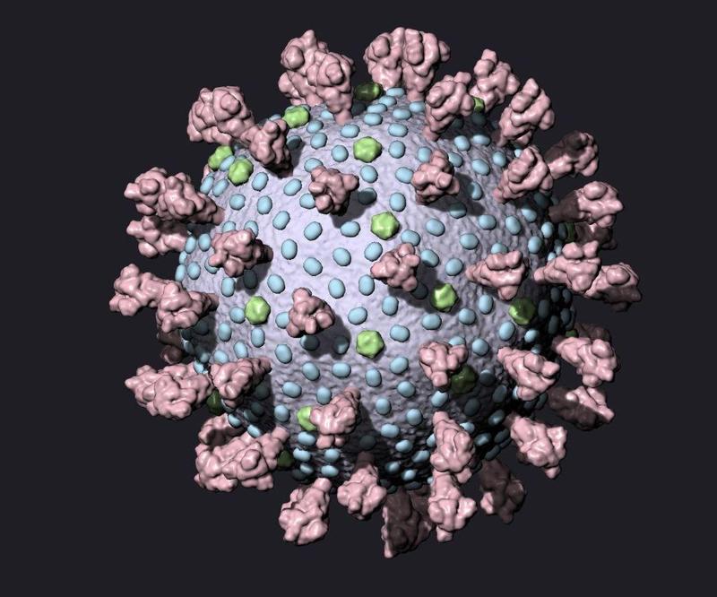 Novel Coronavirus