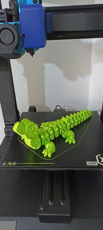 Nice Little Alligator