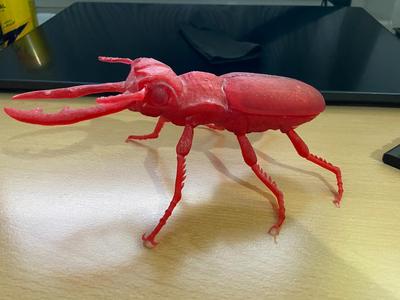 Bug