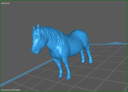 PONY MODELING