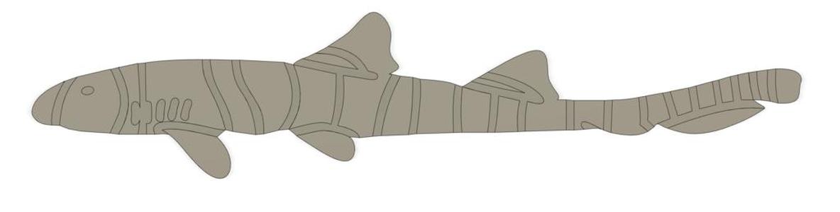 Bamboo Shark Wall Decoration
